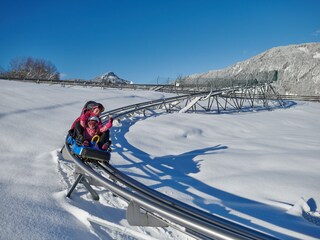 Winterrodelbahn - Allgäu Coaster