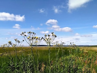 Maison de vacances Rønde  17