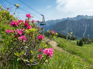 Vakantieappartement Oberstdorf Omgeving 21