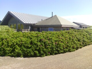 Vakantieappartement Petten Buitenaudio-opname 2