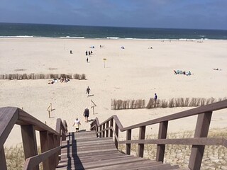 Holiday apartment Petten Environment 15