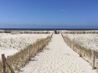 Holiday apartment Petten Environment 14
