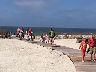 Holiday apartment Petten Environment 16