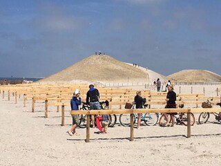 Vakantieappartement Petten Omgeving 18