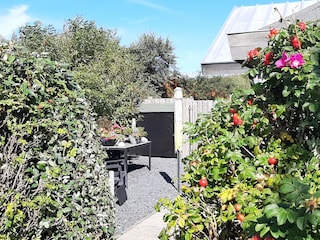 Ferienwohnung Petten Außenaufnahme 3