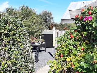 Vakantieappartement Petten Buitenaudio-opname 3