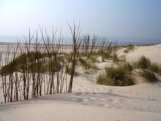 Holiday apartment Petten Outdoor Recording 6
