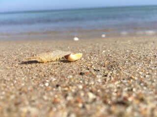 Appartement de vacances Sellin Environnement 14