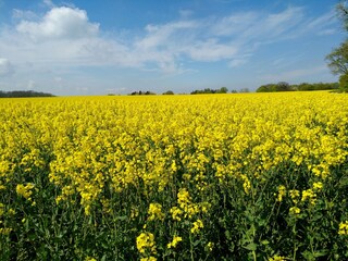 Apartamento de vacaciones Sellin Entorno 20