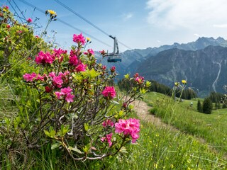 Appartamento per vacanze Oberstdorf Ambiente 20
