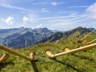 Appartamento per vacanze Oberstdorf Ambiente 25