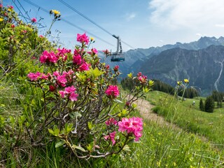Appartement de vacances Oberstdorf Environnement 17
