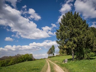 Wanderwege