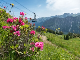 Apartamento de vacaciones Oberstdorf Entorno 34