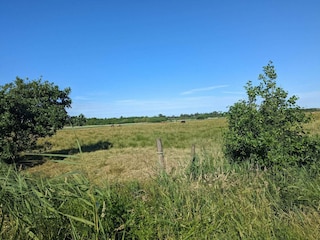 Vakantiehuis Blåvand  12