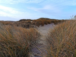 Holiday house Bork Havn  9