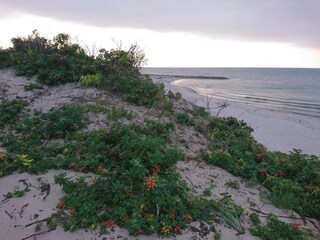 Casa per le vacanze Liseleje  31