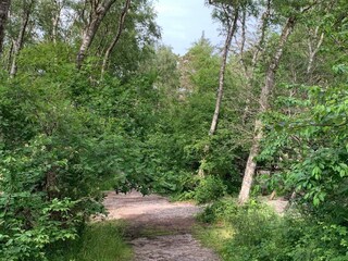 Casa per le vacanze Liseleje  39