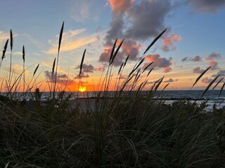 Casa de vacaciones Liseleje  39