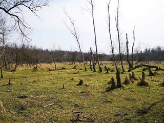 Vakantiehuis Kopenhagen  21