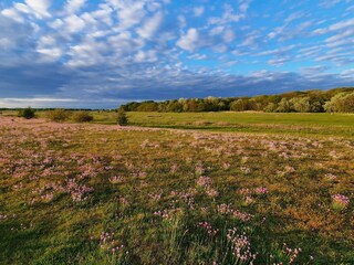 Ferienhaus Kopenhagen  22