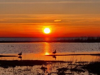 Holiday house Kopenhagen  36