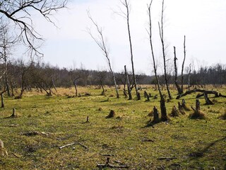 Holiday house Kopenhagen  22