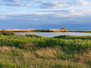 Maison de vacances Kopenhagen  29