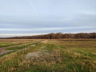 Ferienhaus Kopenhagen  35
