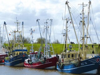 Vakantiehuis Neßmersiel Omgeving 16