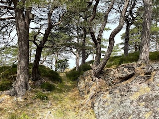 Ferienhaus Grohed  30