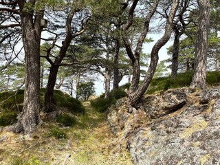 Vakantiehuis Grohed  30