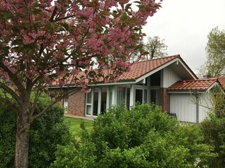 Maison de vacances Röbel Müritz Enregistrement extérieur 5