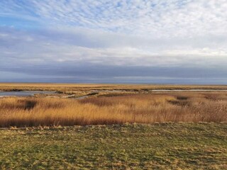 Maison de vacances Sønderho Sogn  36