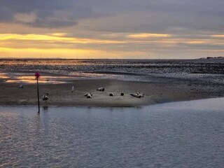 Maison de vacances Sønderho Sogn  32