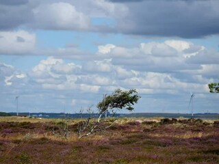 Ferienhaus Sønderho Sogn  40