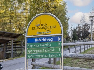 Appartement Bad Kleinkirchheim Environnement 31