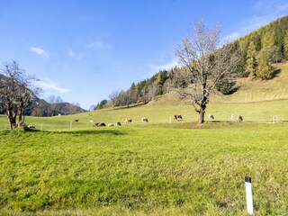 Apartment Bad Kleinkirchheim Environment 31