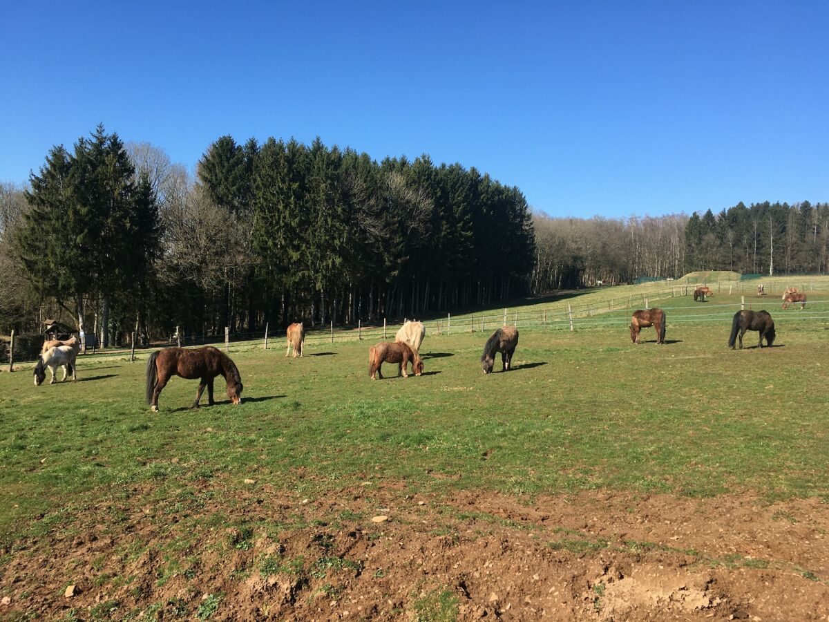 Ferienhaus Remilly-Aillicourt Umgebung 29