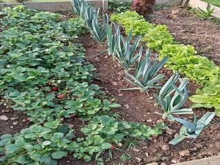 Holiday house Remilly-Aillicourt Outdoor Recording 2
