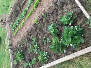 Holiday house Remilly-Aillicourt Outdoor Recording 3