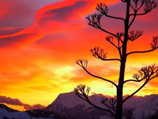 Apartment Santa Vittoria in Matenano Environment 22