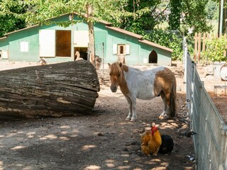 Casa per le vacanze Ootmarsum Ambiente 36
