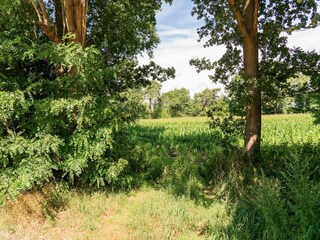Vakantiehuis Ootmarsum Omgeving 36