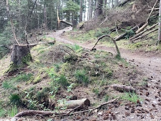 Ferienhaus Slettestrand  9