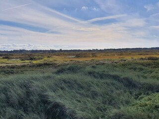 Vakantiehuis Slettestrand  16