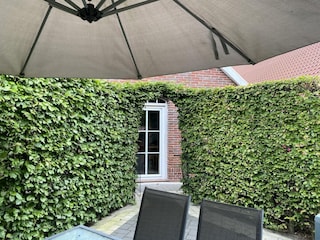 Apartment Firrel Outdoor Recording 7