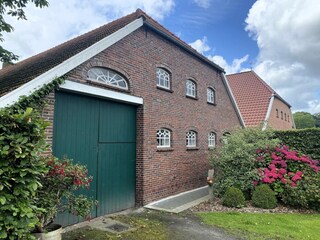 Apartment Firrel Outdoor Recording 5