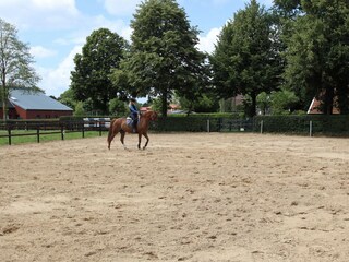 Appartement Firrel Buitenaudio-opname 8