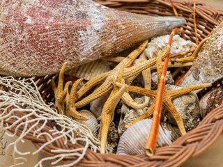 Apartment Molunat  16